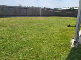 Carol R.'s grass cutting service result