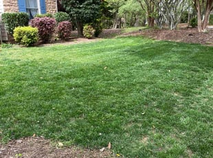 James G.'s grass maintenance service result