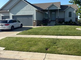 Alexis P.'s lawn care service result