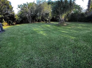 Melanie W.'s lawn service service result