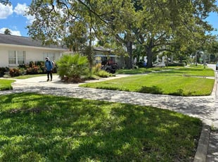 Adam K.'s lawn maintenance service result