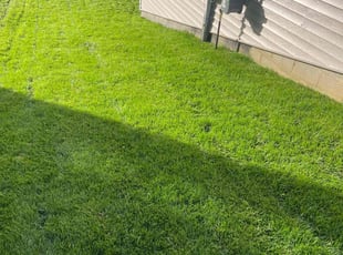 Ziaur C.'s lawn service service result