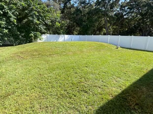 Charlie B.'s grass maintenance service result