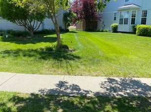 Darlene V.'s grass cutting service result