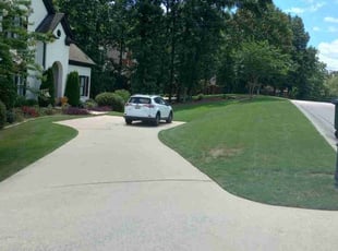 Mary B.'s lawn maintenance service result