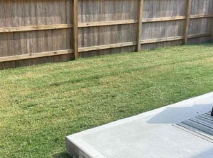 Armina F.'s lawn care services service result