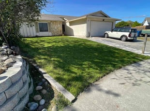 Michael S.'s grass maintenance service result