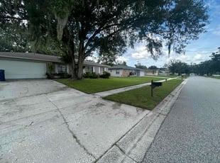Allison M.'s grass cutting service result