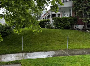 Ken M.'s turf care service result