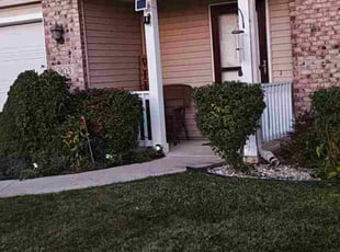 Katrina D.'s Bush Trimming service result