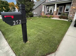 Paul L.'s lawn care service result