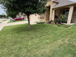 Teneka W.'s lawn care services service result