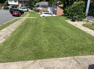 Rasheen R.'s lawn care service result