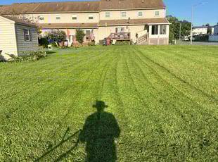 Efrain L.'s lawn service service result