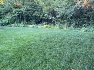 T.J. G.'s grass maintenance service result