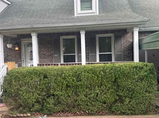 Eva C.'s Bush Trimming service result