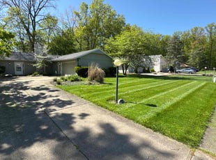 Kiara B.'s turf care service result