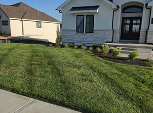 Toni S.'s lawn maintenance service result