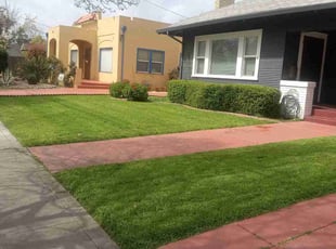 Darius B.'s lawn maintenance service result