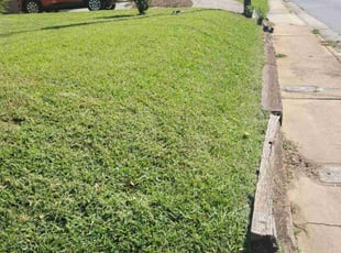 Charles M.'s lawn care service result