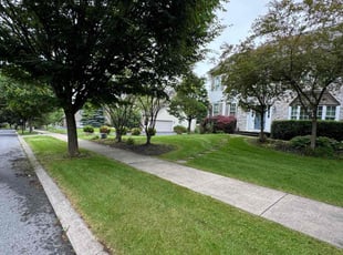 Beverly S.'s turf maintenance service result