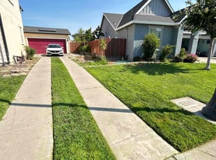 Sandy H.'s lawn care services service result