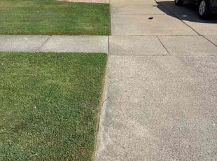 Delores B.'s lawn care services service result