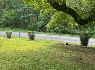 Betty O.'s Bush Trimming service result