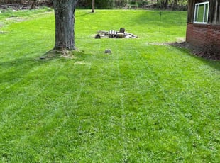 Rosalinda Z.'s lawn care service result