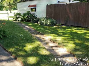 Terrie S.'s turf care service result