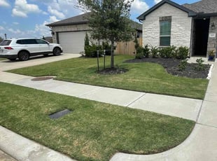 Derek L.'s turf care service result