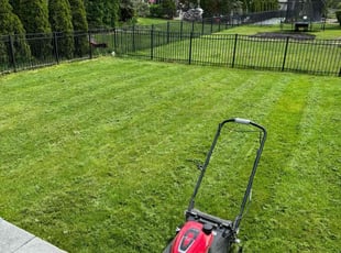 Derek M.'s lawn service service result