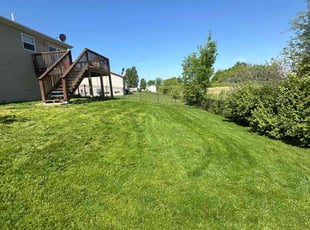 Estee R.'s Long Grass Cleanup service result
