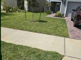 Matt H.'s grass maintenance service result