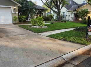 Jona S.'s Leaf Removal service result