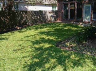 Luz M.'s grass maintenance service result