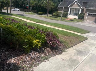 Gary C.'s turf care service result
