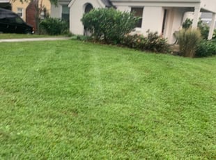 Marquis S.'s Bush Trimming service result
