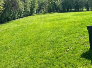 Jon G.'s grass maintenance service result