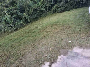 Matthew C.'s lawn maintenance service result