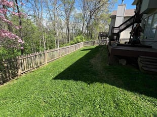 Day H.'s landscaping service result