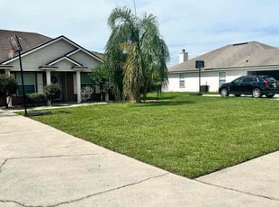ryan J.'s turf care service result