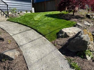 Susan K.'s turf maintenance service result