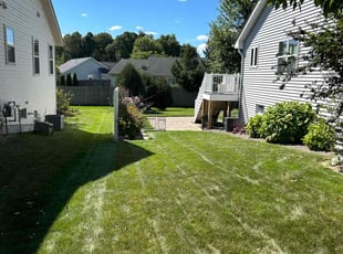 Dominic N.'s turf maintenance service result
