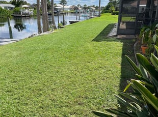Carla O.'s grass cutting service result