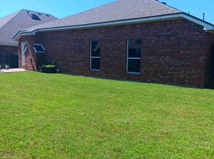 Shane B.'s turf maintenance service result