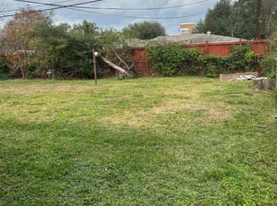 Nadine K.'s grass maintenance service result