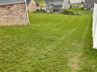 Larry H.'s grass maintenance service result