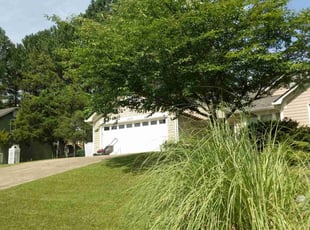 Bridget F.'s lawn service service result