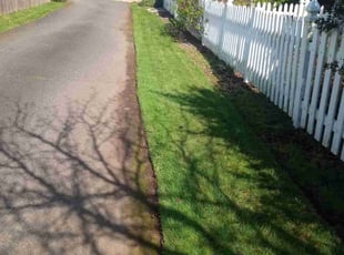 Tuesday W.'s lawn care service result